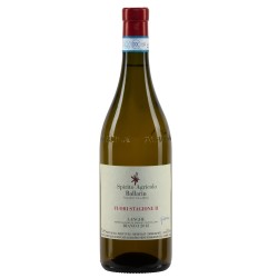 Fuori Stagione II Langhe Bianco