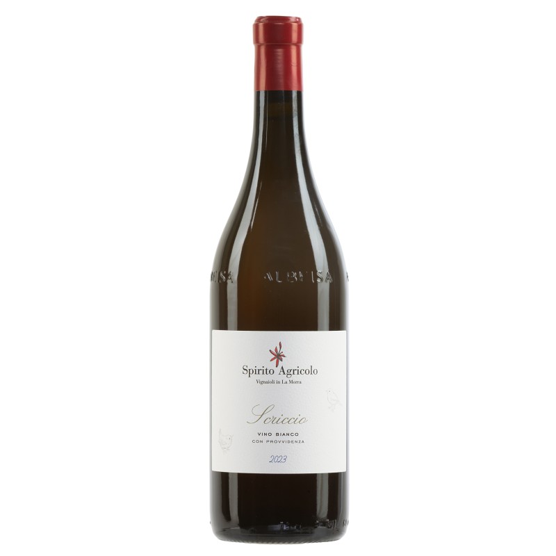 Scriccio Langhe Bianco