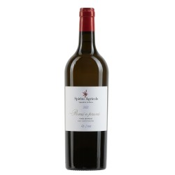 Tra Pomi e Pruni Langhe Bianco