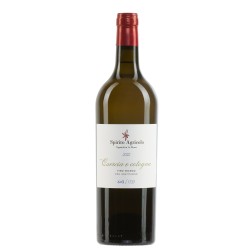 Tra Quercia e Cotogna Langhe Bianco