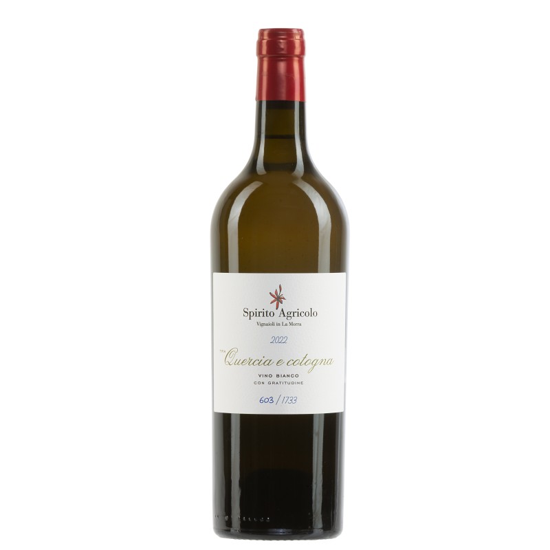 Tra Quercia e Cotogna Langhe Bianco