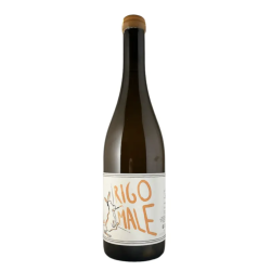 Rigomale Toscana Bianco