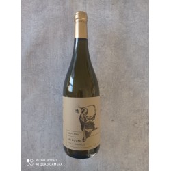 Briccone Trebbiano Abruzzo
