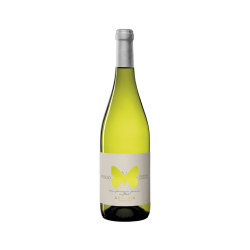 Apollo Trebbiano d'Abbruzzo